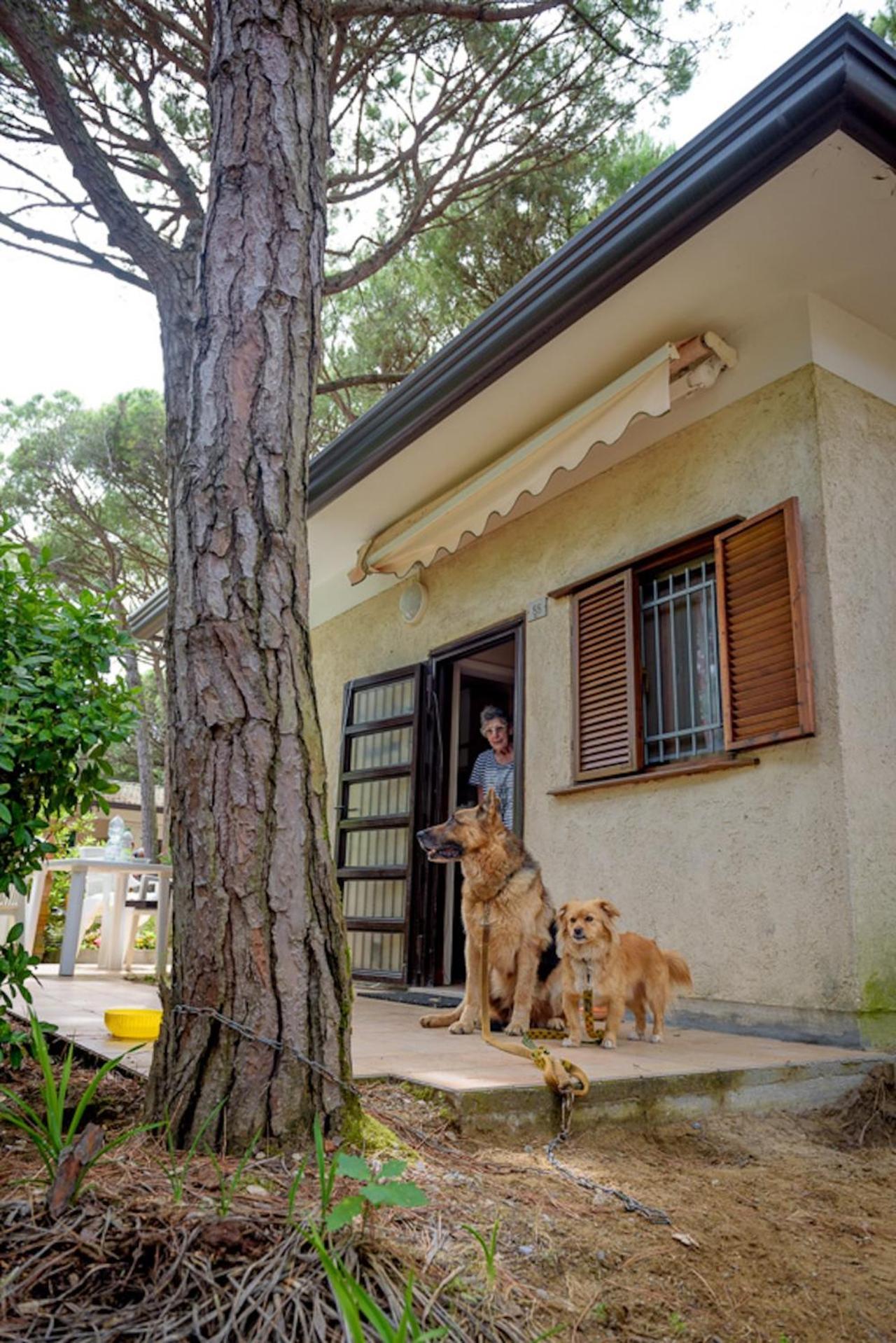 Arco Bungalow Eraclea Mare Dış mekan fotoğraf